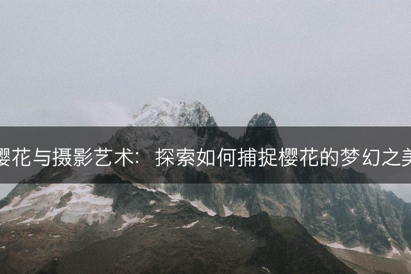樱花与摄影艺术：探索如何捕捉樱花的梦幻之美(图1)