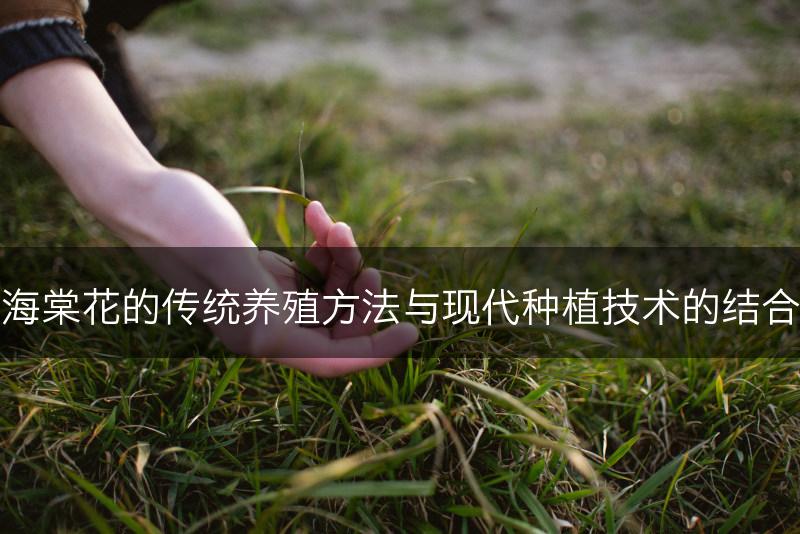 海棠花的传统养殖方法与现代种植技术的结合(图1)