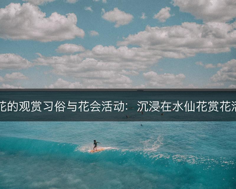 水仙花的观赏习俗与花会活动：沉浸在水仙花赏花活动中(图1)