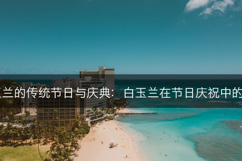 白玉兰的传统节日与庆典：白玉兰在节日庆祝中的应用(图1)