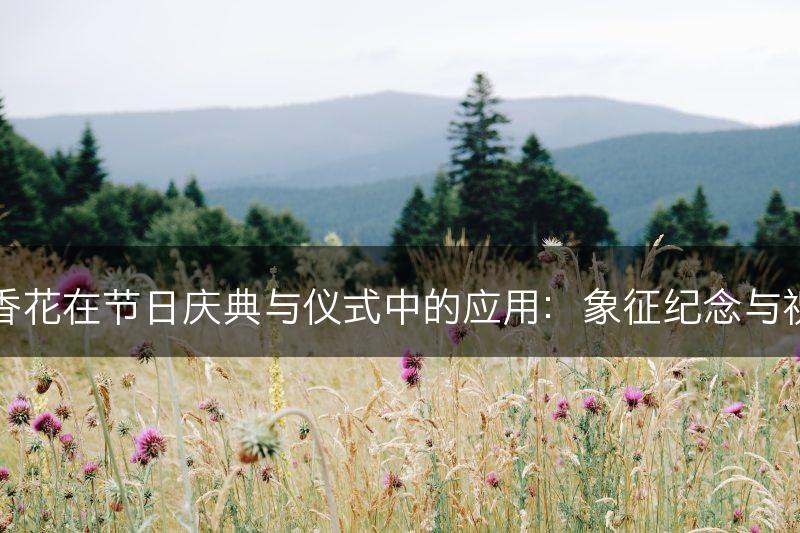 丁香花在节日庆典与仪式中的应用：象征纪念与祝福(图1)