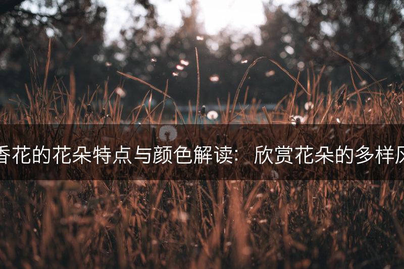 丁香花的花朵特点与颜色解读：欣赏花朵的多样风情(图1)