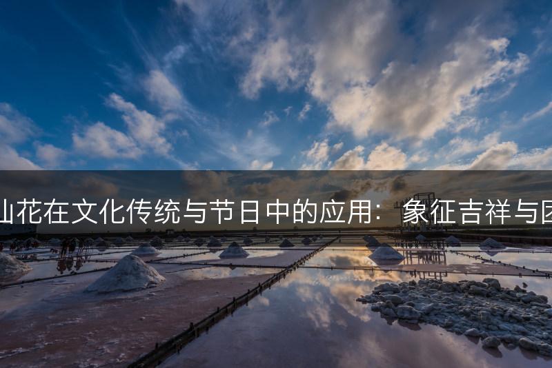 水仙花在文化传统与节日中的应用：象征吉祥与团圆(图1)