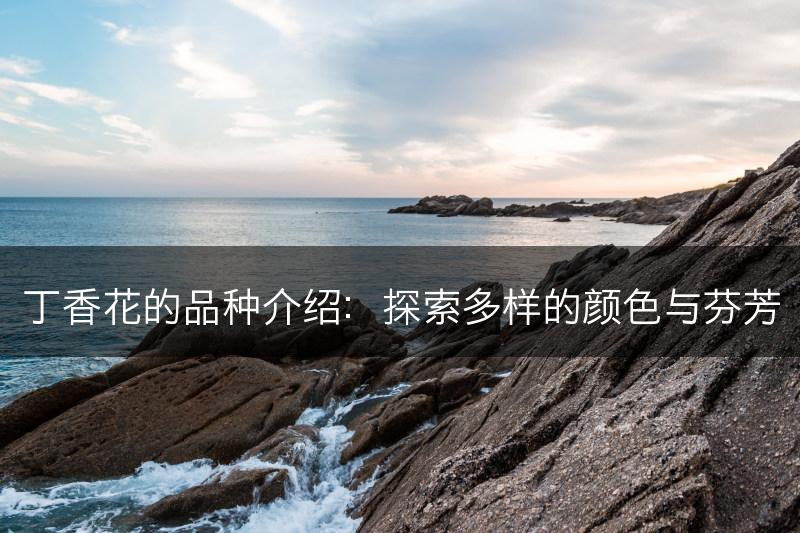 丁香花的品种介绍：探索多样的颜色与芬芳(图1)