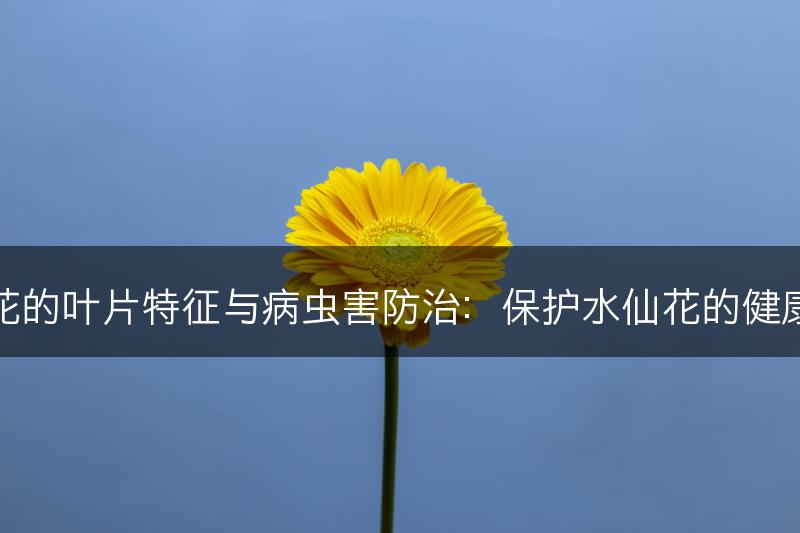 水仙花的叶片特征与病虫害防治：保护水仙花的健康成长(图1)