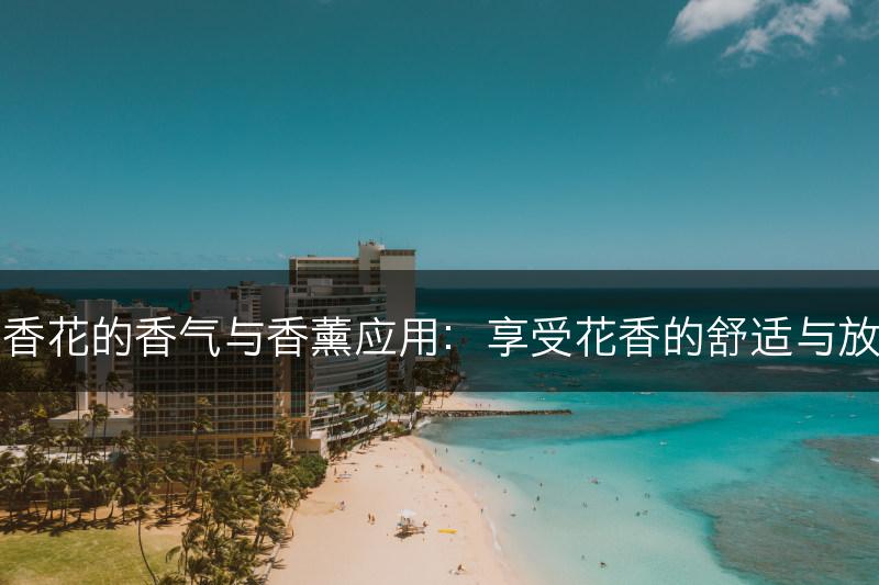 丁香花的香气与香薰应用：享受花香的舒适与放松(图1)