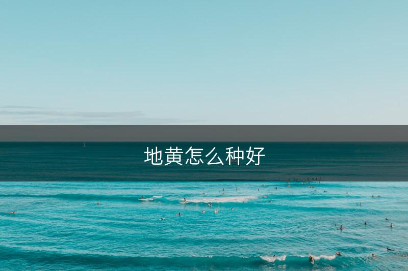 地黄怎么种好(图1)