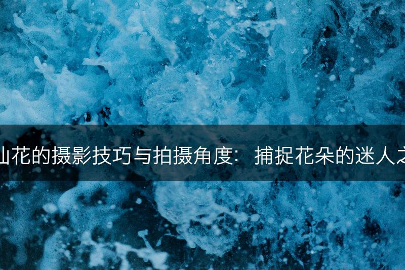水仙花的摄影技巧与拍摄角度：捕捉花朵的迷人之处(图1)