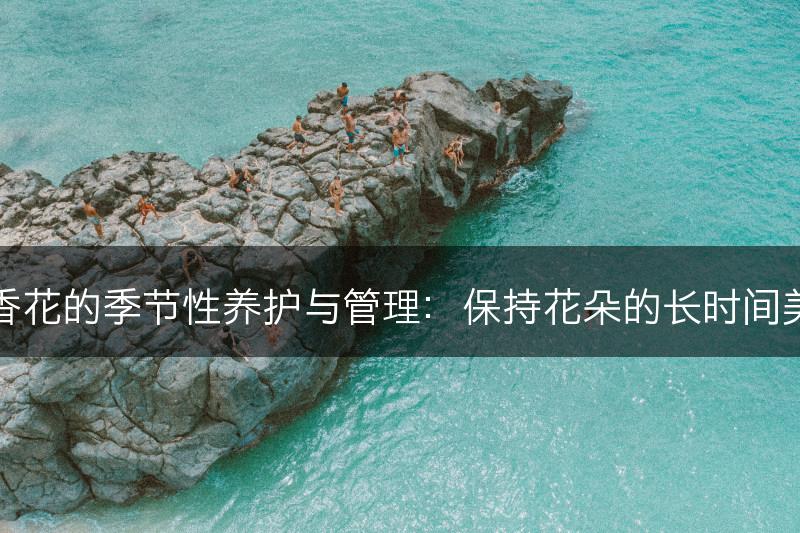 丁香花的季节性养护与管理：保持花朵的长时间美丽(图1)