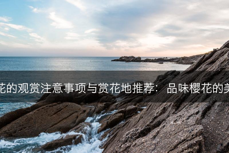 樱花的观赏注意事项与赏花地推荐：品味樱花的美妙(图1)