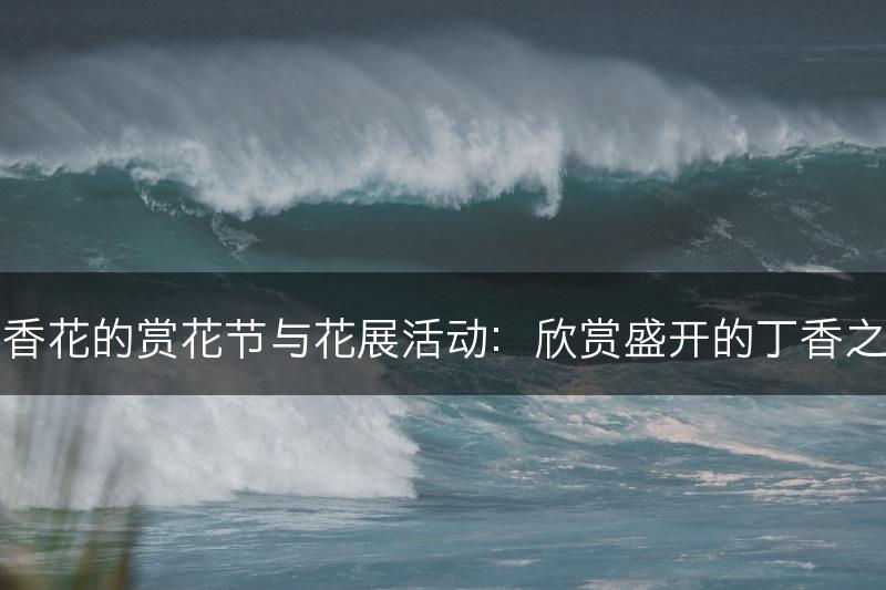 丁香花的赏花节与花展活动：欣赏盛开的丁香之美(图1)
