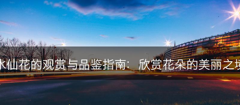 水仙花的观赏与品鉴指南：欣赏花朵的美丽之境(图1)