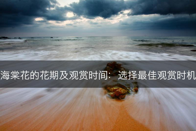 海棠花的花期及观赏时间:选择最佳观赏时机(图1) 海棠花的花期及观赏时间:选择最佳观赏时机(图1)