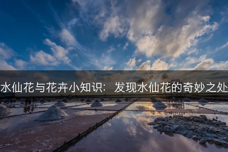 水仙花与花卉小知识：发现水仙花的奇妙之处(图1)