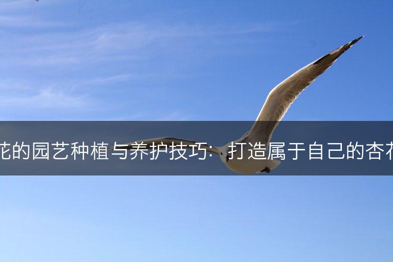 杏花的园艺种植与养护技巧：打造属于自己的杏花园(图1)