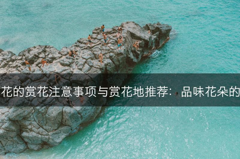 丁香花的赏花注意事项与赏花地推荐：品味花朵的美妙(图1)