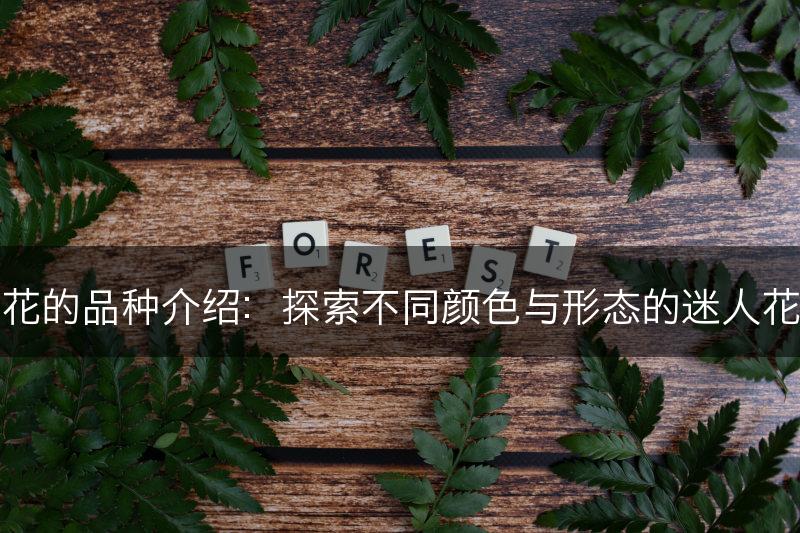 樱花的品种介绍：探索不同颜色与形态的迷人花朵(图1)