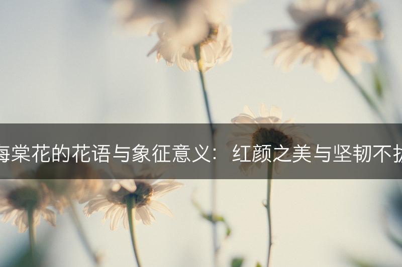 海棠花的花语与象征意义:红颜之美与坚韧不拔(图1) 海棠花的花语与象征意义:红颜之美与坚韧不拔(图1)