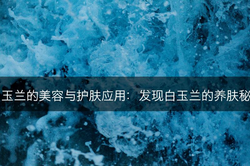 白玉兰的美容与护肤应用：发现白玉兰的养肤秘诀(图1)