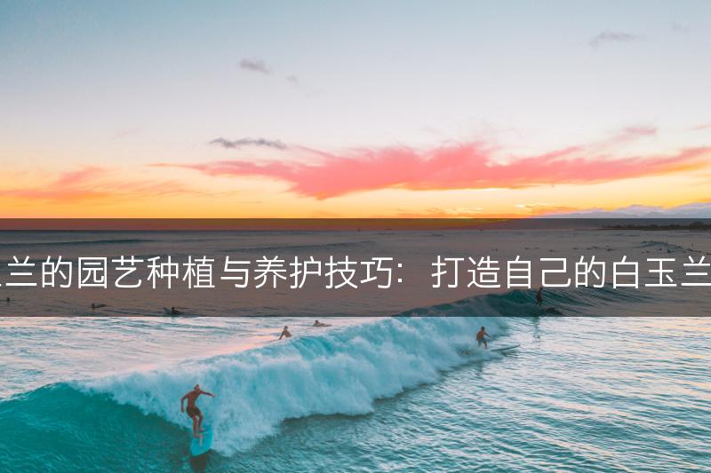 白玉兰的园艺种植与养护技巧：打造自己的白玉兰花坛(图1)