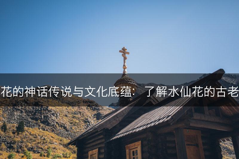 水仙花的神话传说与文化底蕴：了解水仙花的古老传说(图1)