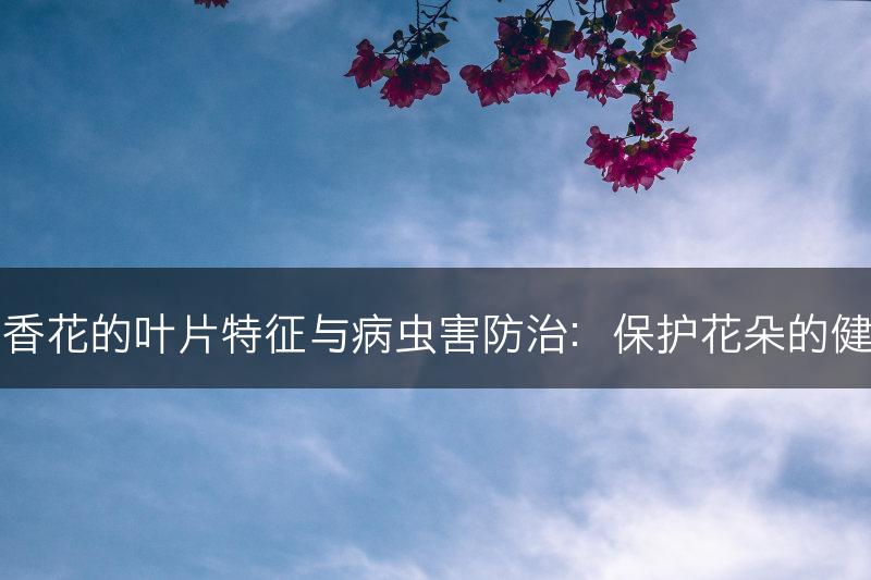 丁香花的叶片特征与病虫害防治：保护花朵的健康(图1)