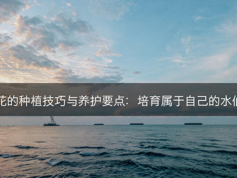 水仙花的种植技巧与养护要点：培育属于自己的水仙花园(图1)