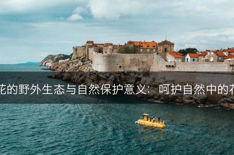 牵牛花的野外生态与自然保护意义：呵护自然中的花之宝(图1)