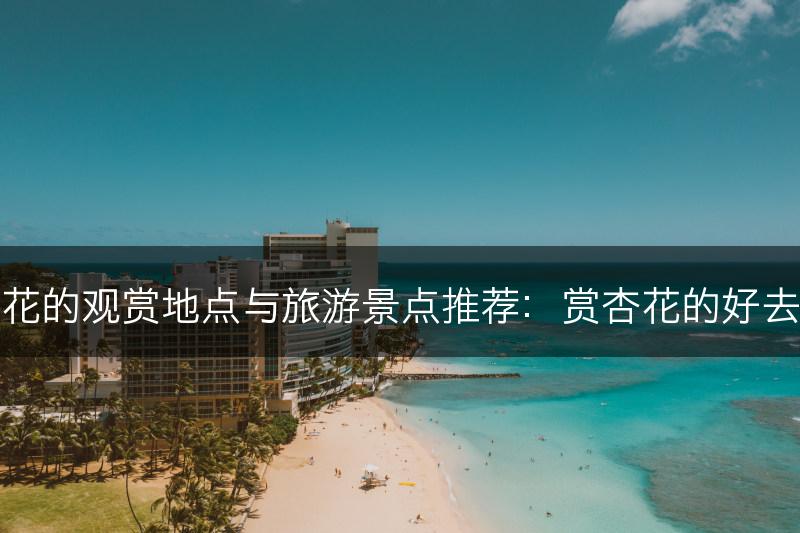 杏花的观赏地点与旅游景点推荐:赏杏花的好去处(图1) 杏花的观赏地点与旅游景点推荐:赏杏花的好去处(图1)