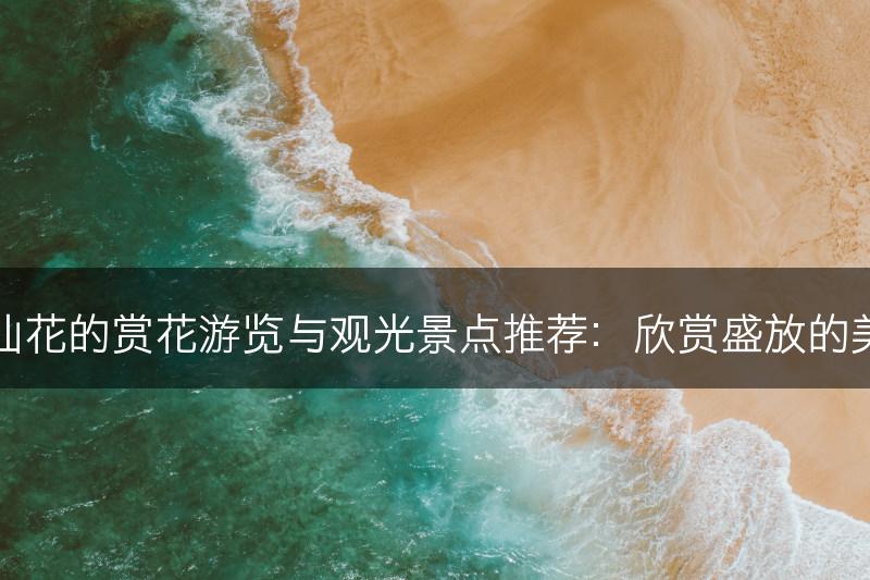 水仙花的赏花游览与观光景点推荐：欣赏盛放的美景(图1)