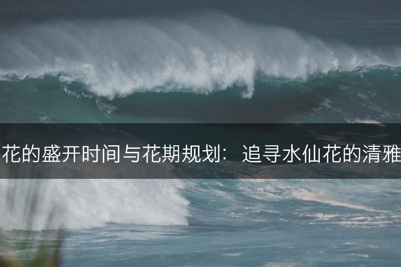 水仙花的盛开时间与花期规划：追寻水仙花的清雅之美(图1)