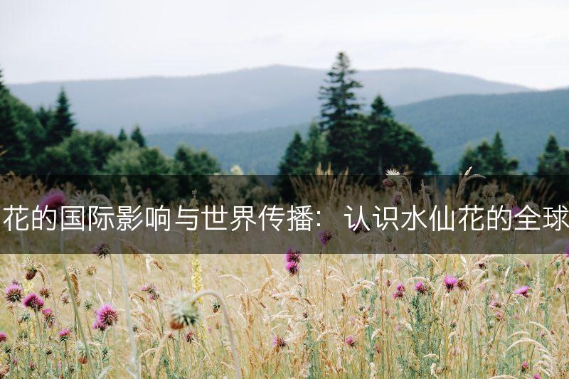 水仙花的国际影响与世界传播：认识水仙花的全球地位(图1)