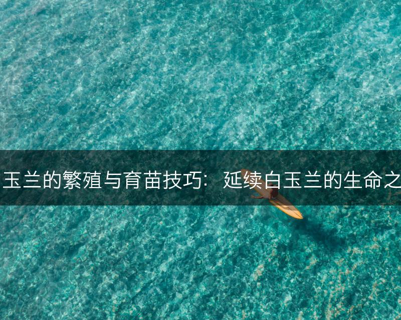 白玉兰的繁殖与育苗技巧：延续白玉兰的生命之美(图1)