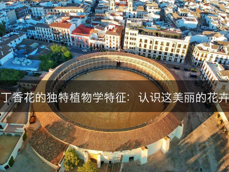 丁香花的独特植物学特征：认识这美丽的花卉(图1)