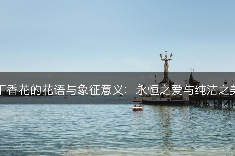 丁香花的花语与象征意义：永恒之爱与纯洁之美(图1)