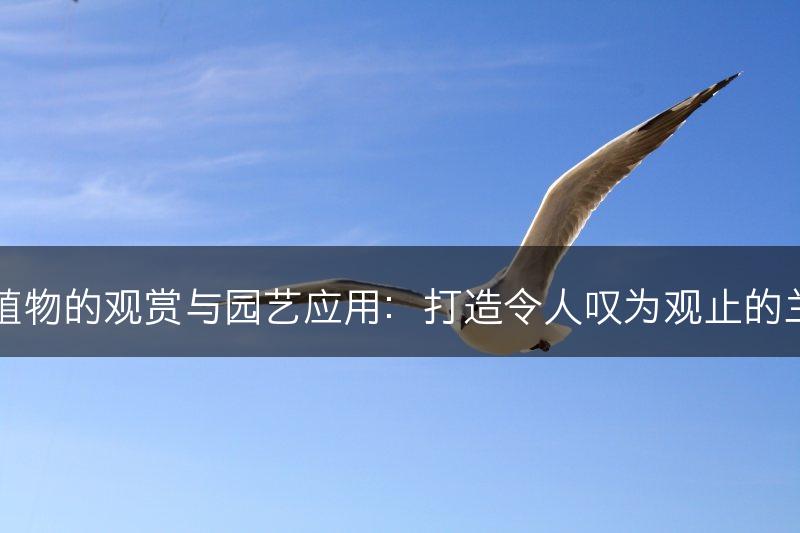 兰科植物的观赏与园艺应用：打造令人叹为观止的兰花园(图1)