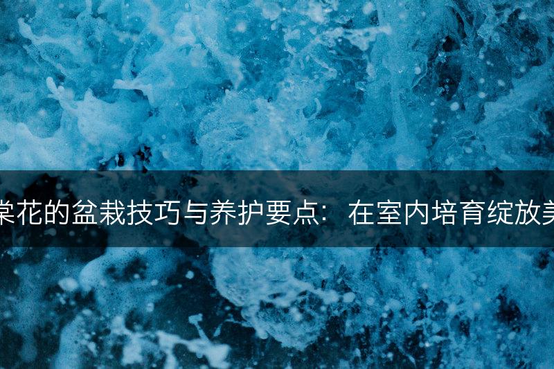 海棠花的盆栽技巧与养护要点:在室内培育绽放美丽(图1) 海棠花的盆栽技巧与养护要点:在室内培育绽放美丽(图1)