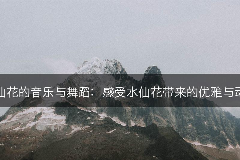 水仙花的音乐与舞蹈：感受水仙花带来的优雅与动人(图1)