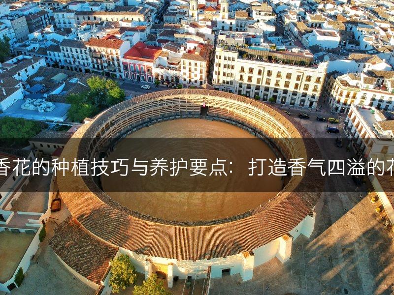 丁香花的种植技巧与养护要点：打造香气四溢的花园(图1)