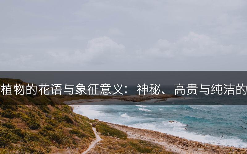 兰科植物的花语与象征意义：神秘、高贵与纯洁的象征(图1)