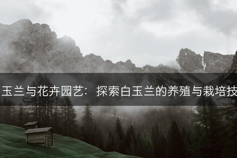 白玉兰与花卉园艺：探索白玉兰的养殖与栽培技巧(图1)