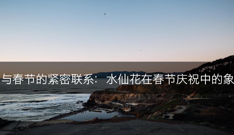 水仙花与春节的紧密联系：水仙花在春节庆祝中的象征意义(图1)