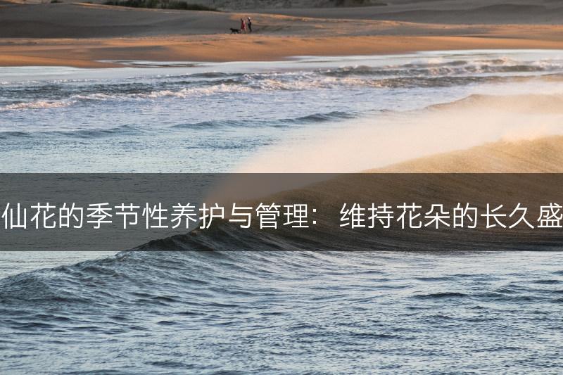 水仙花的季节性养护与管理：维持花朵的长久盛放(图1)