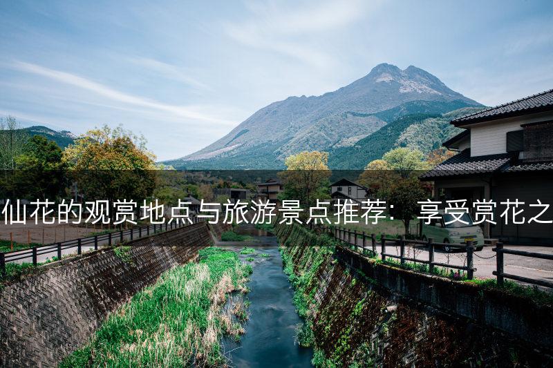 水仙花的观赏地点与旅游景点推荐：享受赏花之旅(图1)