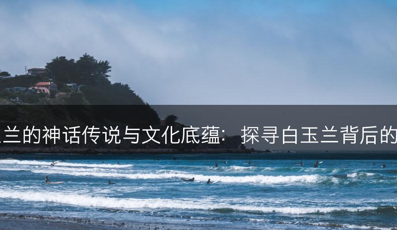 白玉兰的神话传说与文化底蕴：探寻白玉兰背后的故事(图1)