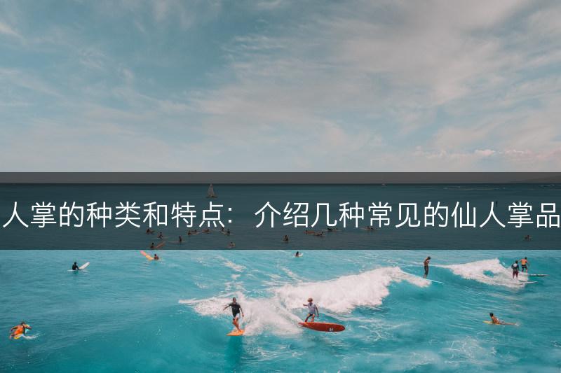 仙人掌的种类和特点：介绍几种常见的仙人掌品种(图1)