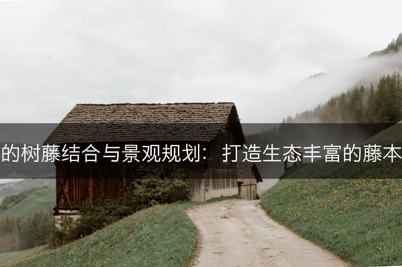 藤本植物的树藤结合与景观规划：打造生态丰富的藤本植物景观(图1)