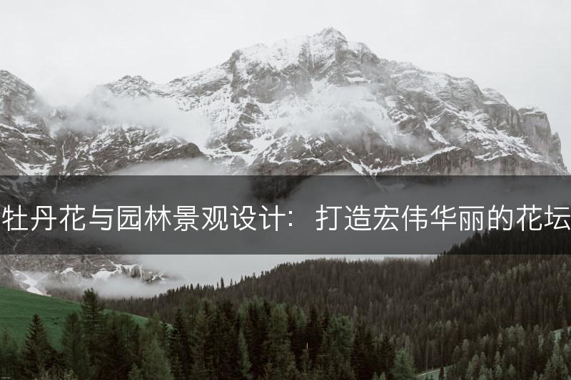 牡丹花与园林景观设计：打造宏伟华丽的花坛(图1)