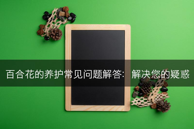 百合花的养护常见问题解答：解决您的疑惑(图1)