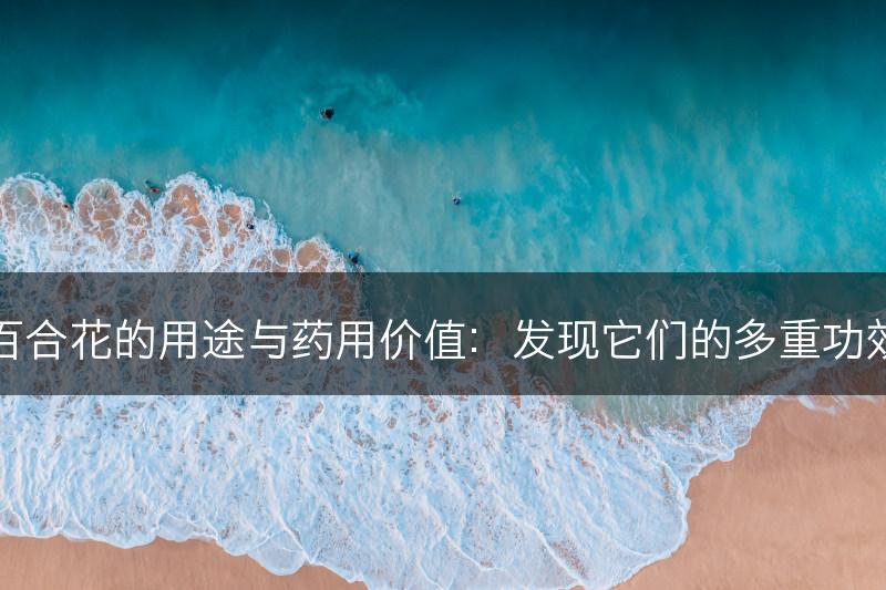 百合花的用途与药用价值：发现它们的多重功效(图1)